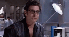 well-there-it-is-jeff-goldblum.gif