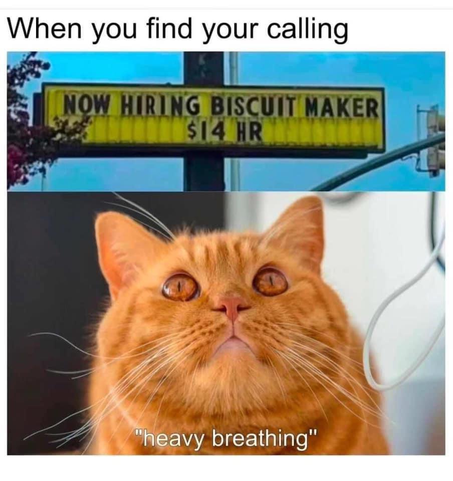E2tY8n1.jpeg