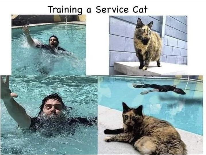aaUxCwk.jpeg