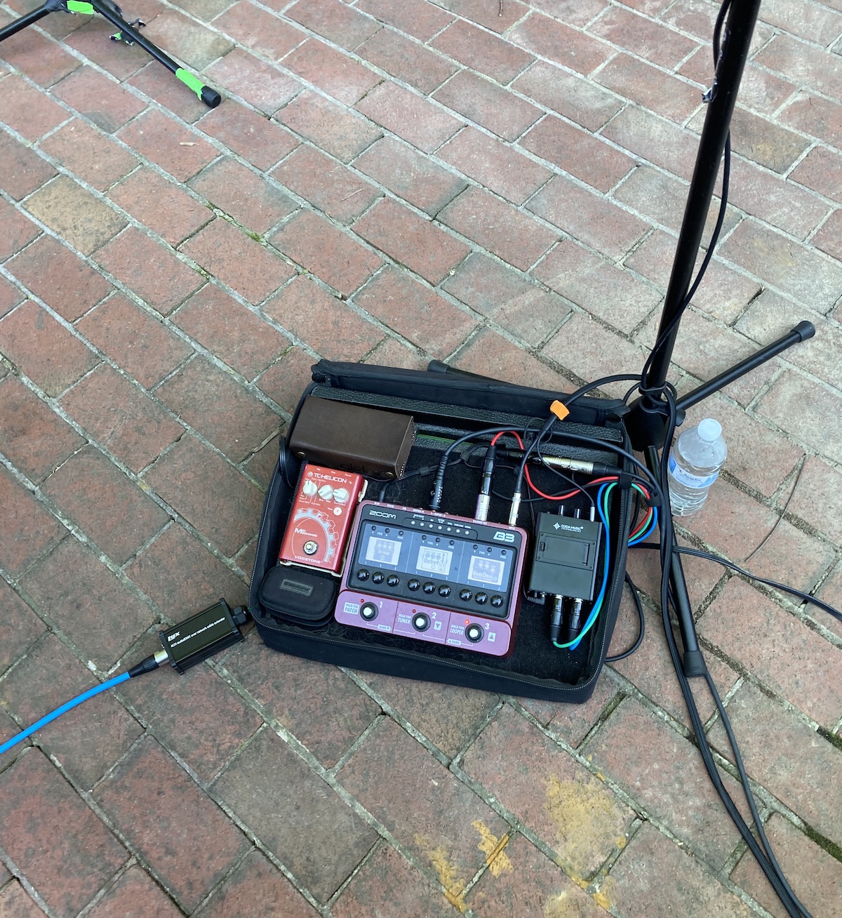 cat-pedal.jpg