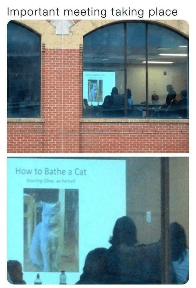 1UhrVtc.png