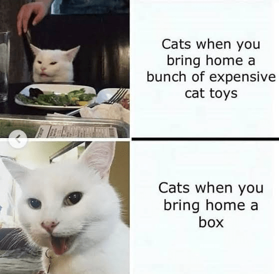 6xbpOvo.png