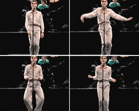 giphy.gif