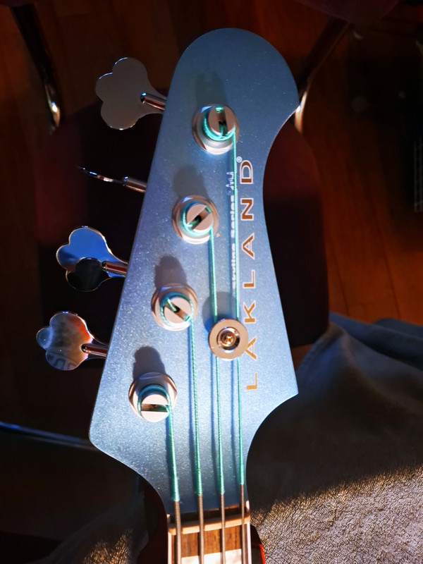 20260323_184330_Lakland_New_Strings.jpg
