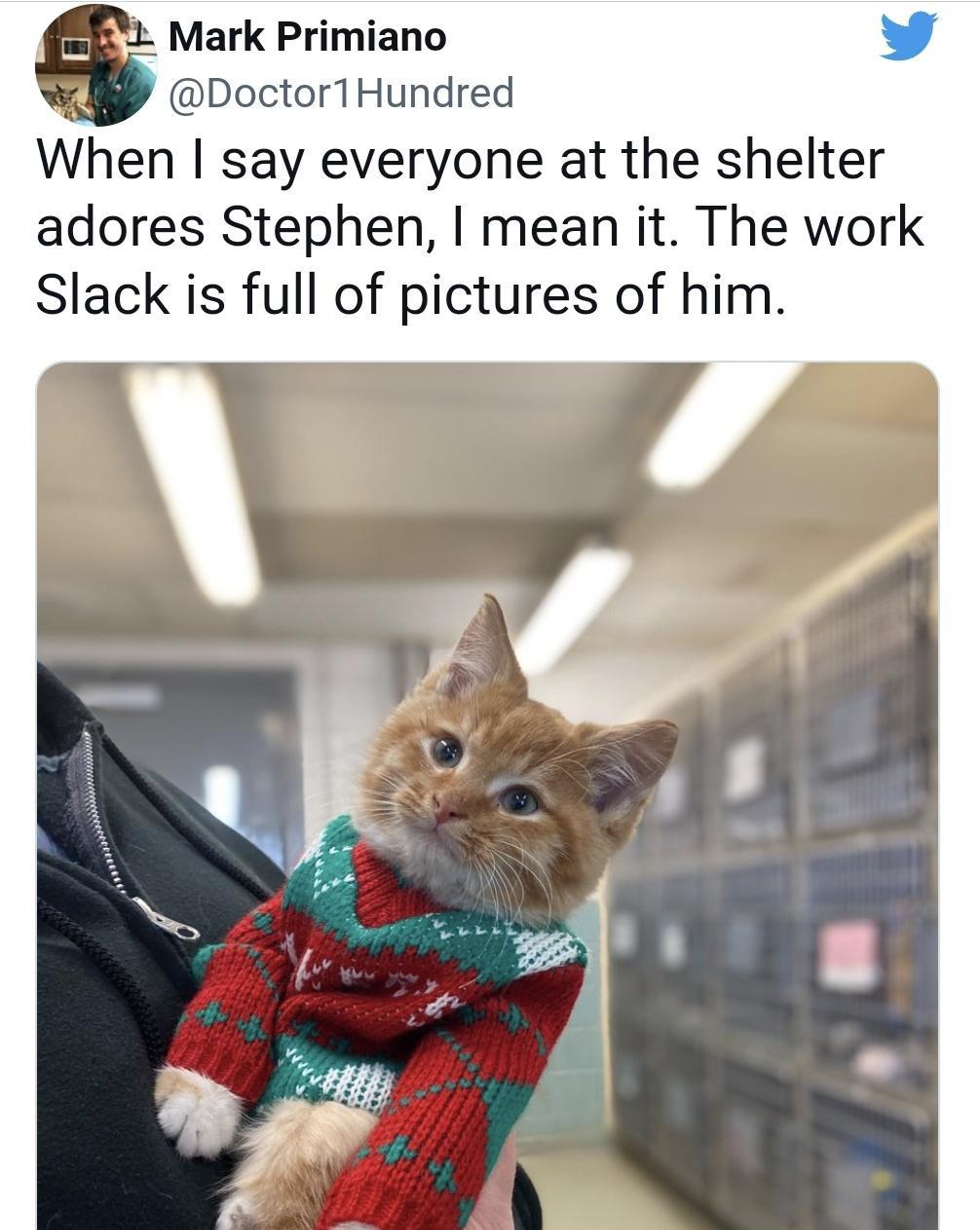 FGYaqJ1.jpeg