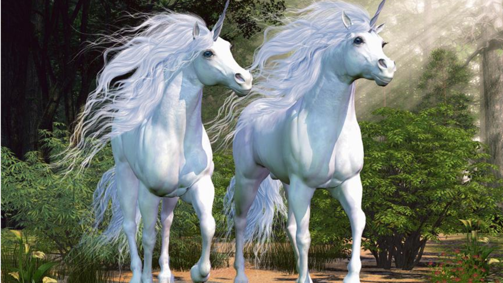 unicorn1_1579630262980.png