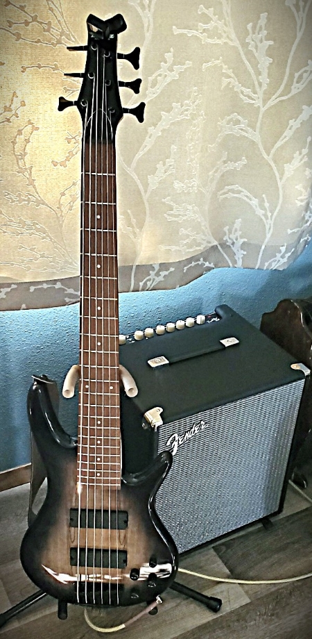 SR206-Fender-Rumble.jpg