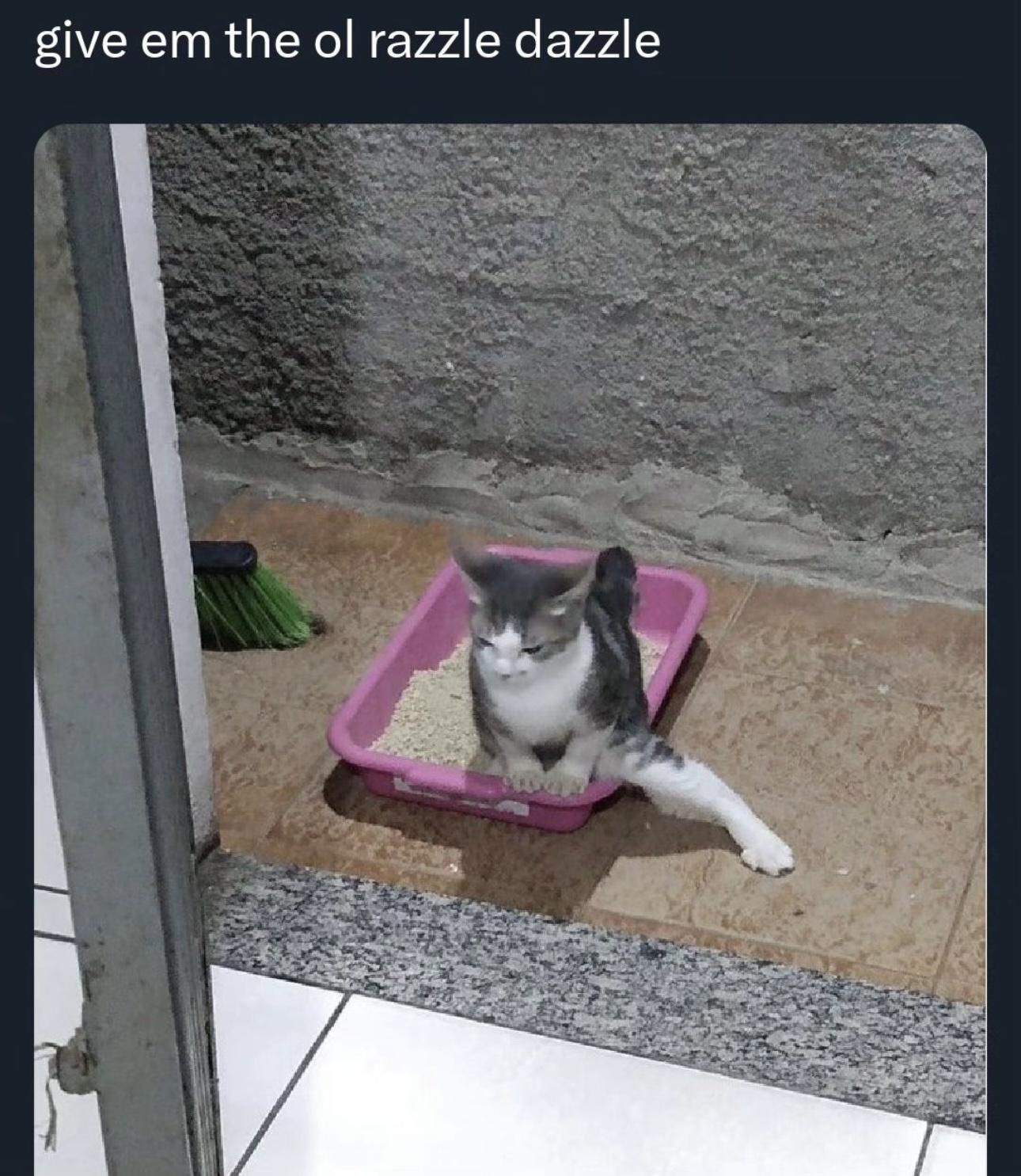au7bG90.jpeg