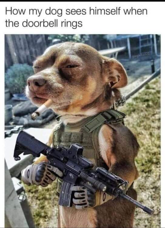 LTSbZbB.jpg