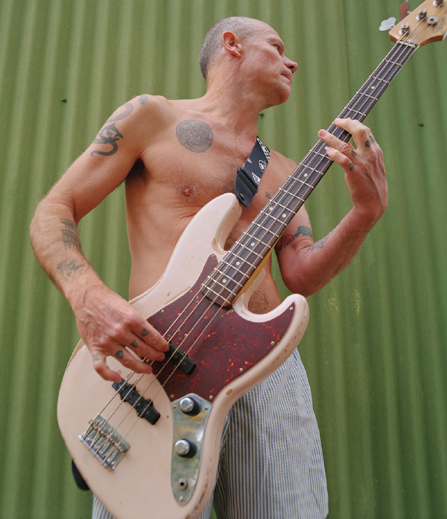 flea-green-bg.jpg