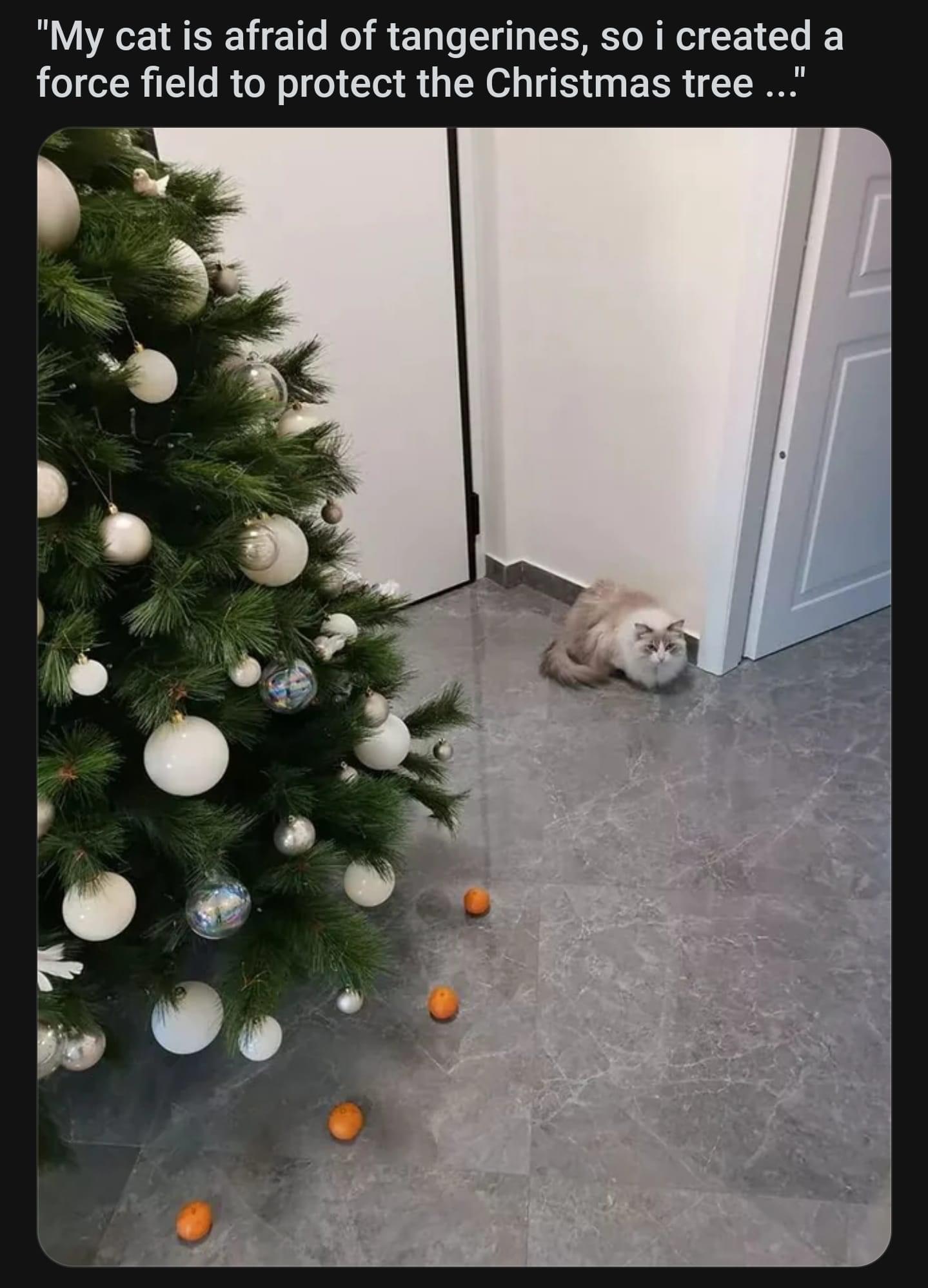 B3dNDov.jpeg