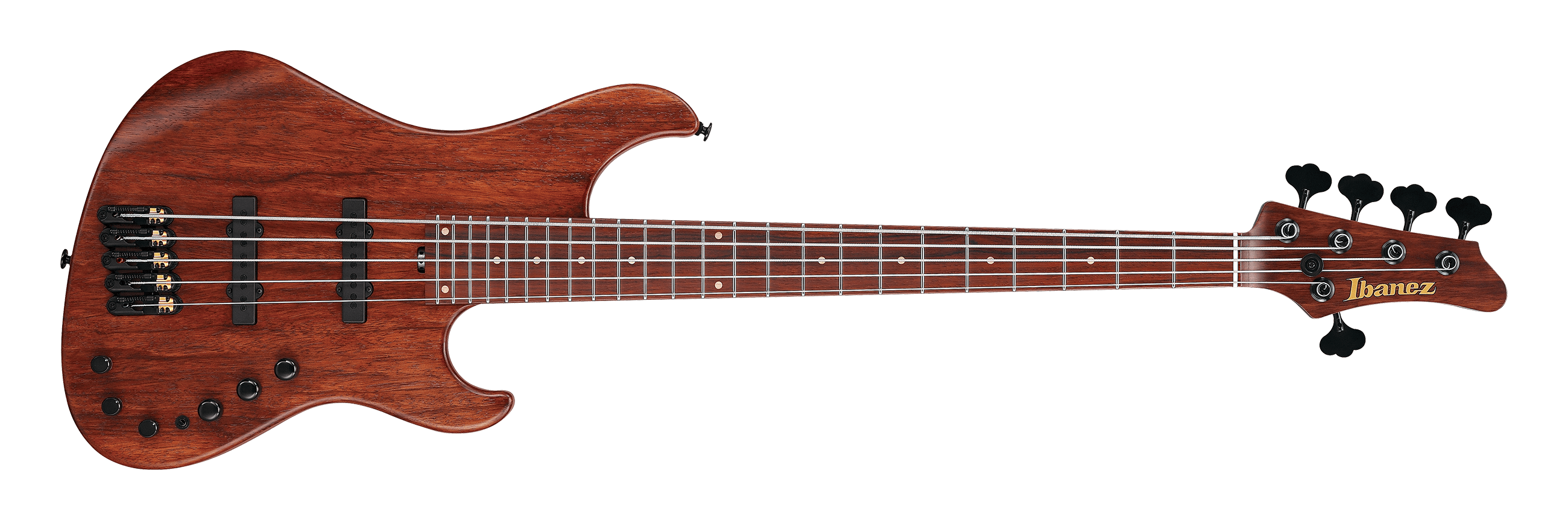 www.ibanez.com
