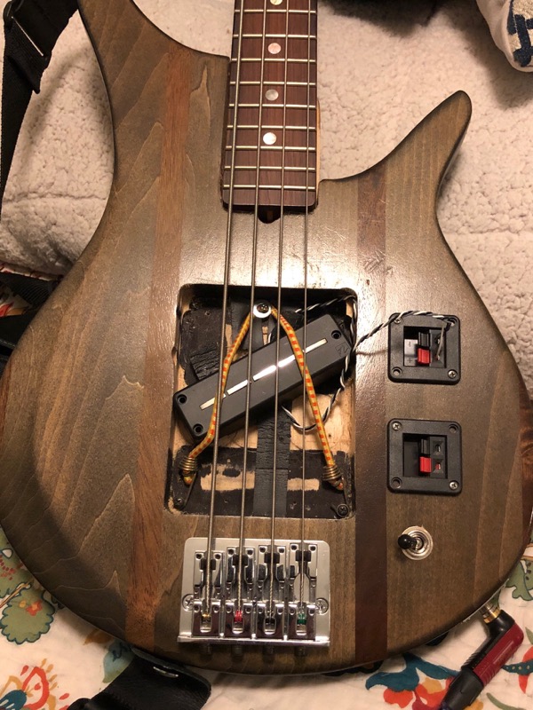Mule_0323.JPG