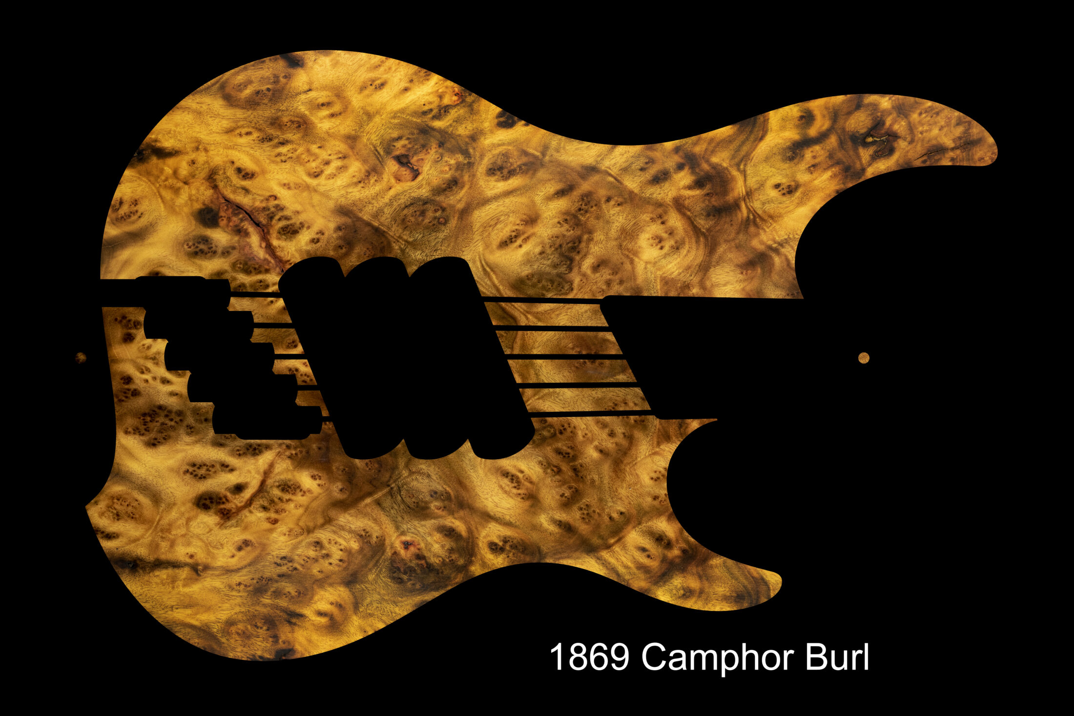 1869-Camphor-Burl-2200x1467.jpg
