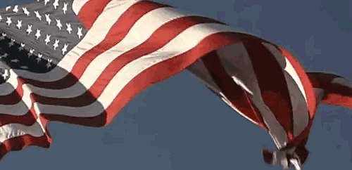 03c0ea53301be3556fcd198a5f8a13d9.gif