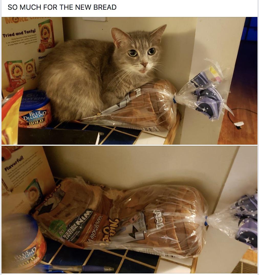 o2rCWHw.jpeg
